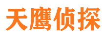 港口市侦探调查公司